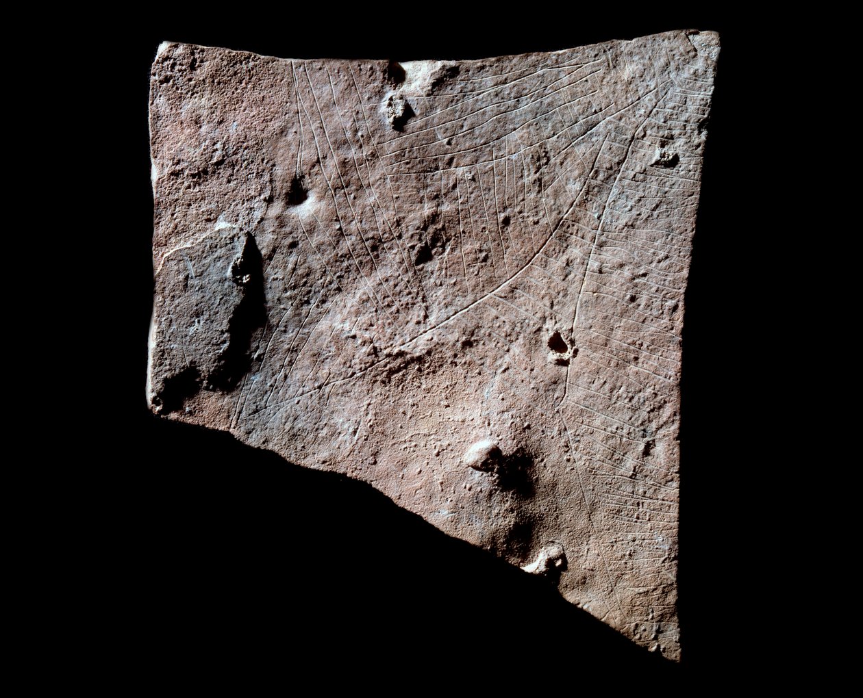 Grafiittifragmentti, jossa takapää tekijältä Prehistoric Prehistoric