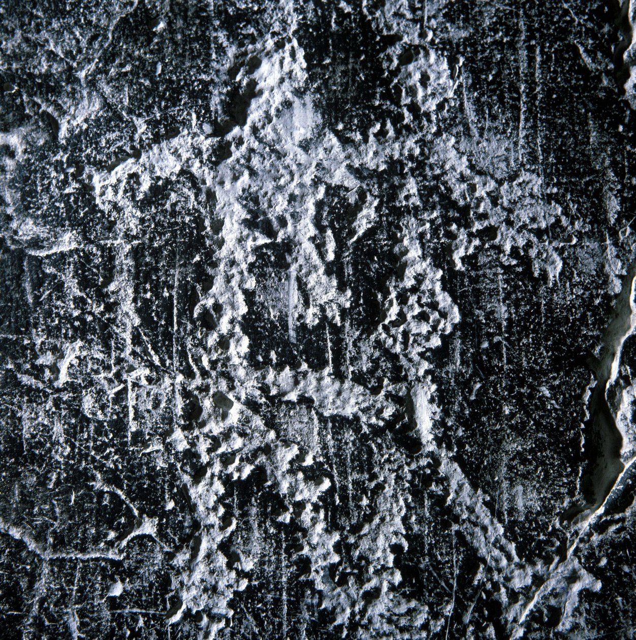 Parittelukohtaus. Esihistoriallinen graffiti Camonican laaksossa, Foppe di Nardossa. tekijältä Prehistoric Prehistoric