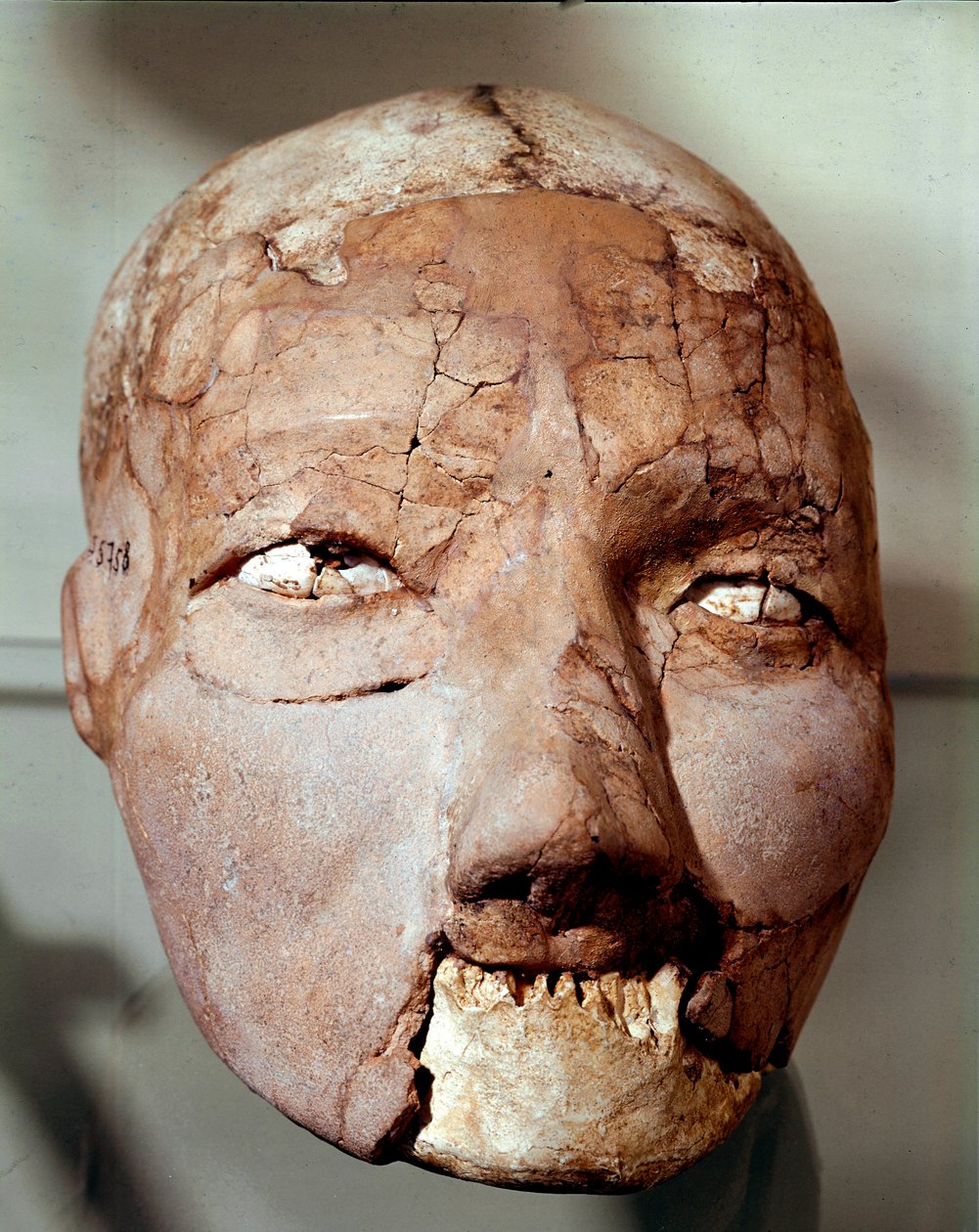 Neoliittinen taide: ihmisen kallo kivikaudelta (6000-4000 eKr.). Jerikosta, arkeologinen museo, Amman, Jordania tekijältä Prehistoric Prehistoric