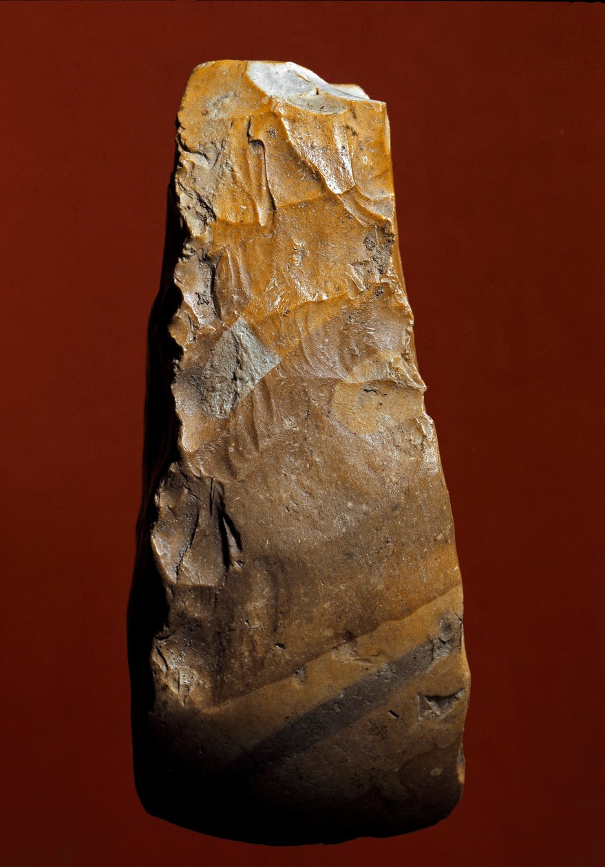 Prehistoire: Chopper-tyyppinen työkalu Kjokkenmoddingerin litistä valmistusta varten, Tanska. Paleoliittinen. Verone, Museo Civico di Storia Naturale, Italia tekijältä Prehistoric Prehistoric