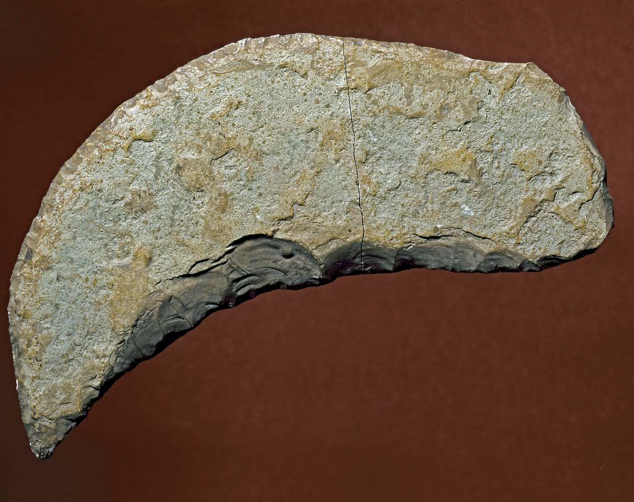 Prehistoire: Chopper-tyyppinen työkalu Kjokkenmoddingerin litistä valmistusta varten, Tanska. Paleoliittinen. Verone, Museo Civico di Storia Naturale, Italia tekijältä Prehistoric Prehistoric
