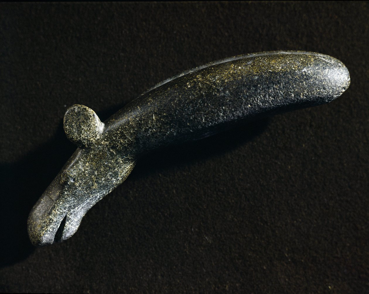 Esihistoria: elaanin muotoinen dioriittityökalu. Kivikausi. Ruotsin kansallismuseo, Tukholma Ruotsi tekijältä Prehistoric Prehistoric