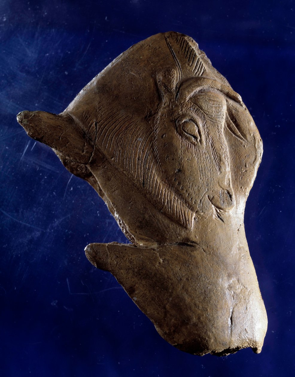 Esihistoriallinen taide (Ylä-Magdalenian): "" Biisoni nousee ylös"" Poropuusta tehty veistos Madeleinen suojista Dordognessa. 11 000 eaa. Aurinko 0,10 m. Saint Germain en Laye, kansallinen arkeologinen museo tekijältä Prehistoric Prehistoric