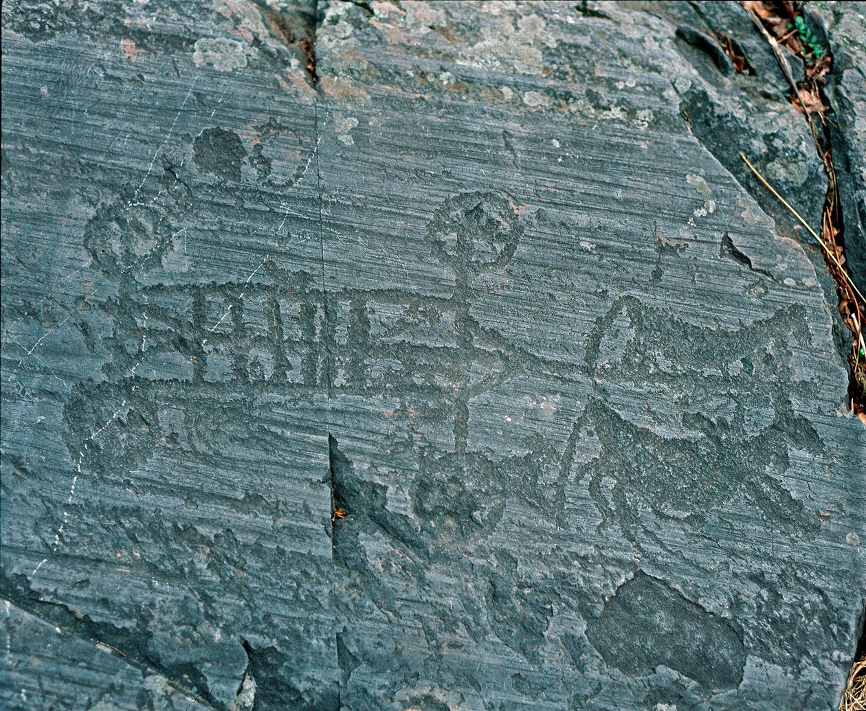 Esihistoria: Camunni-sivilisaatio: hevosten ampuma vaunu, pyörät on kuvattu pinnoilla ja hevoset ovat profiilissa etsintääkseen. Naquanen (Valcamonica, Val Camonica, Brescia) kivikaiverrus kalliosta 23. Neoliittisen ja Bro tekijältä Prehistoric Prehistoric