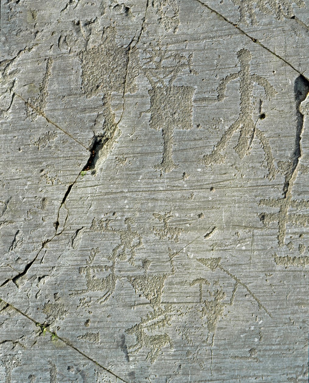 Esihistoria, camunni-sivilisaatio, kalliotaide: hautakallio peuranmetsästyskohtauksia ja kylän arkea. Neoliittisen ja pronssikauden välinen aika. Capo di Ponte, Naquane Rock Engravingsin kansallispuisto, Valcamonica, Val Camonica, tekijältä Prehistoric Prehistoric