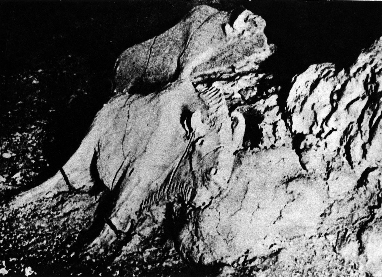 Esihistoria: Paleoliittinen taide, kaksi savibiisonia, Tuc d