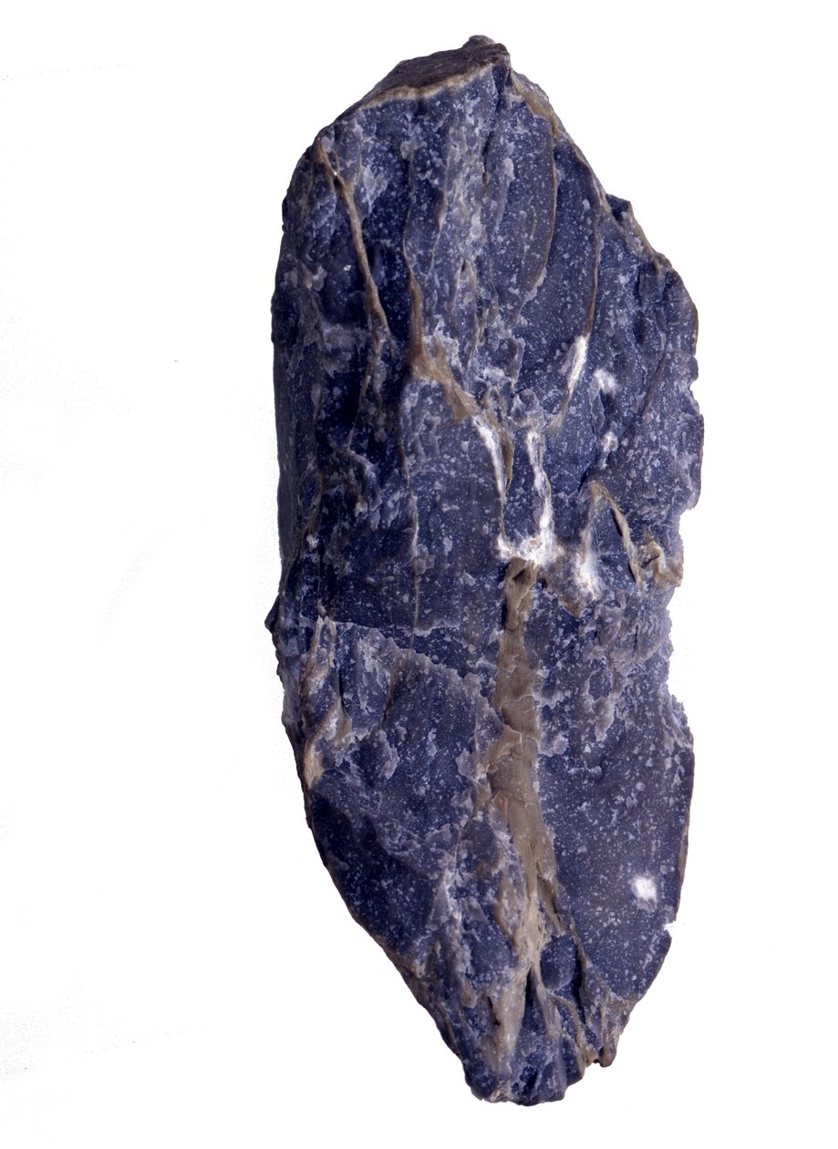 Esihistoria: Stromatoliitti- tai stromatoliittityyppisen Collenia-kiven arkeotsooisen tai esikambrisen (arkaaisen) fragmentin kaudet. Yhdysvalloista. tekijältä Prehistoric Prehistoric
