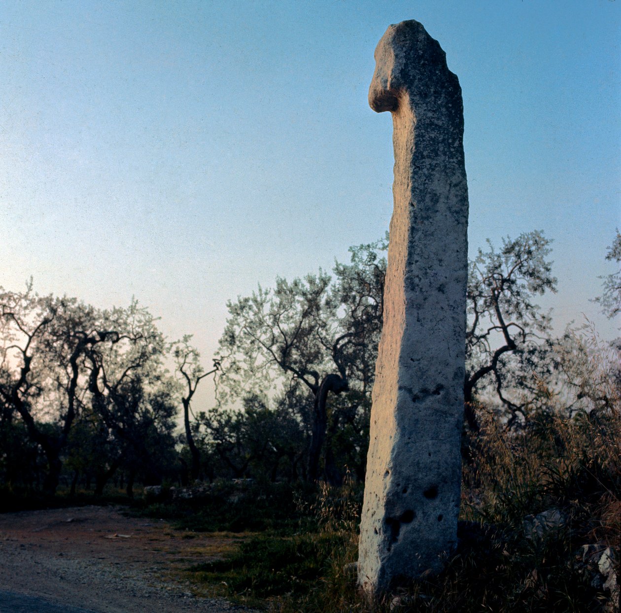 Esihistoria: Munkki. Menhir neoliittista (6000-3000 eKr.). Peterin ikä. Kiven korkeus 370 cm Modugno, Puglia, Barin maakunta, Italia. tekijältä Prehistoric Prehistoric