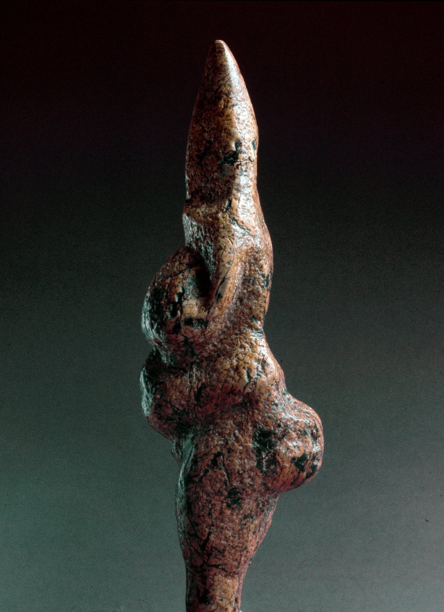 Esihistoria: Venus de Savignano, antropomorfinen litistinen veistos, joka löydettiin vuonna 1925 Savignano sul Panarosta. Yläpaleoliittia, kivikautinen Korkeus: 22 cm. Luigi Pigorinin kansallinen esihistorian ja etnografian museo (esihistorian ja etnografi tekijältä Prehistoric Prehistoric