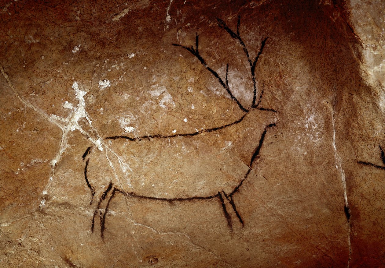 Esihistoria : peura. Yläpaleoliittinen luolamaalaus (Magdalenian) (16 500 ja 14 000 vuotta sitten). Kiven ikä. Las Chimeneasin luola, Monte Castillo, Espanja tekijältä Prehistoric Prehistoric