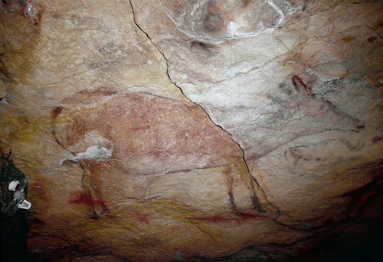Esihistoria: "" peura"" kalliomaalaus ylemmästä paleoliittista (Magdalenian) (16500-14000 vuotta sitten) Altamiran kivikautinen luola, Santander, Espanja tekijältä Prehistoric Prehistoric
