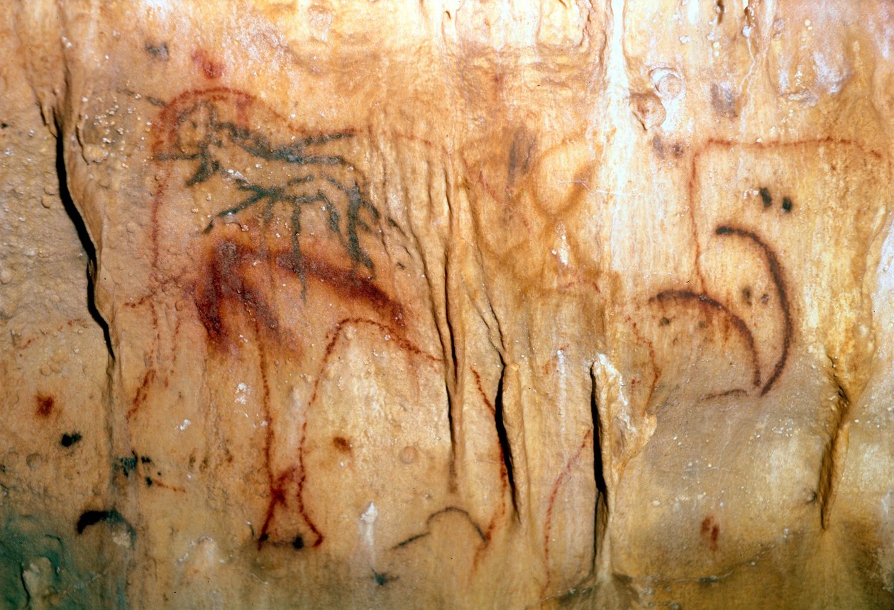 Esihistoria : haavoittunut mies (kalliomaalaus) tekijältä Prehistoric Prehistoric