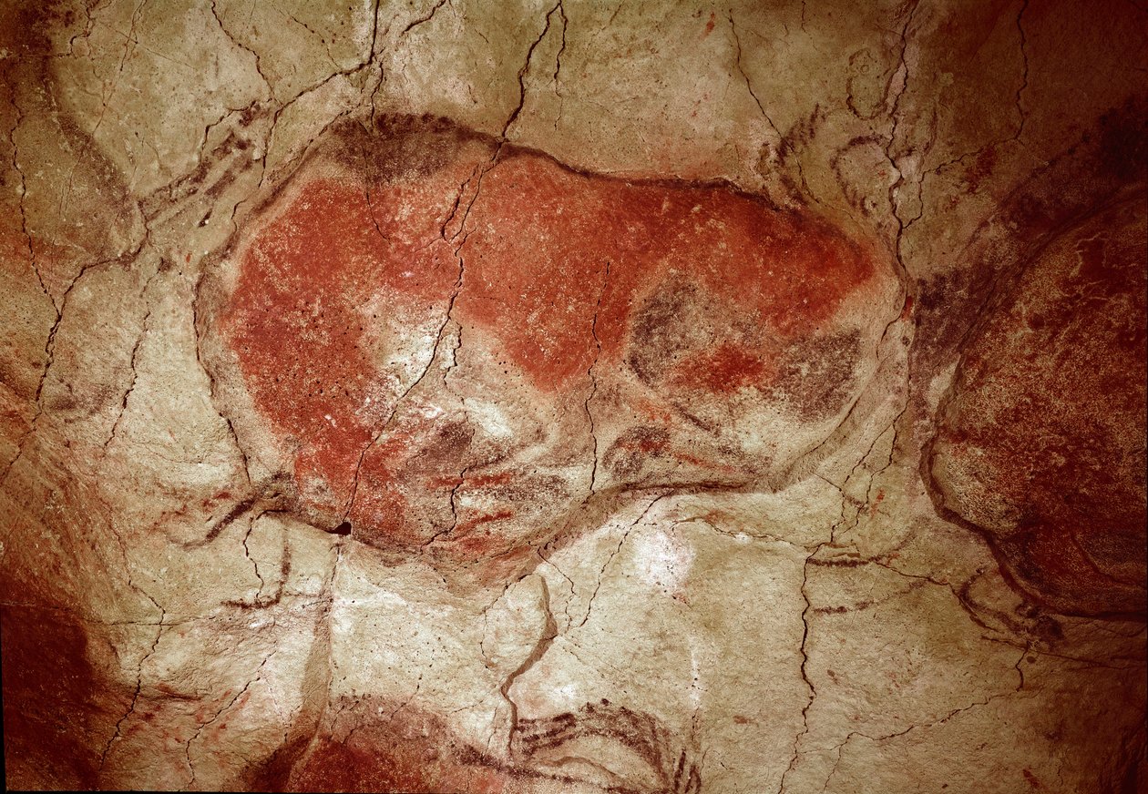 Esihistoria: "" biisoni levossa"" kalliomaalaus ylemmästä paleoliittikaudesta (Magdalenian) (16500-14000 vuotta sitten) kivikautinen biisoniluola, Altamira, Santander, Espanja - Esihistoria: biisoni levossa. kalliomaalaus, ylempi paleoliitti (Magdalenian)  tekijältä Prehistoric Prehistoric