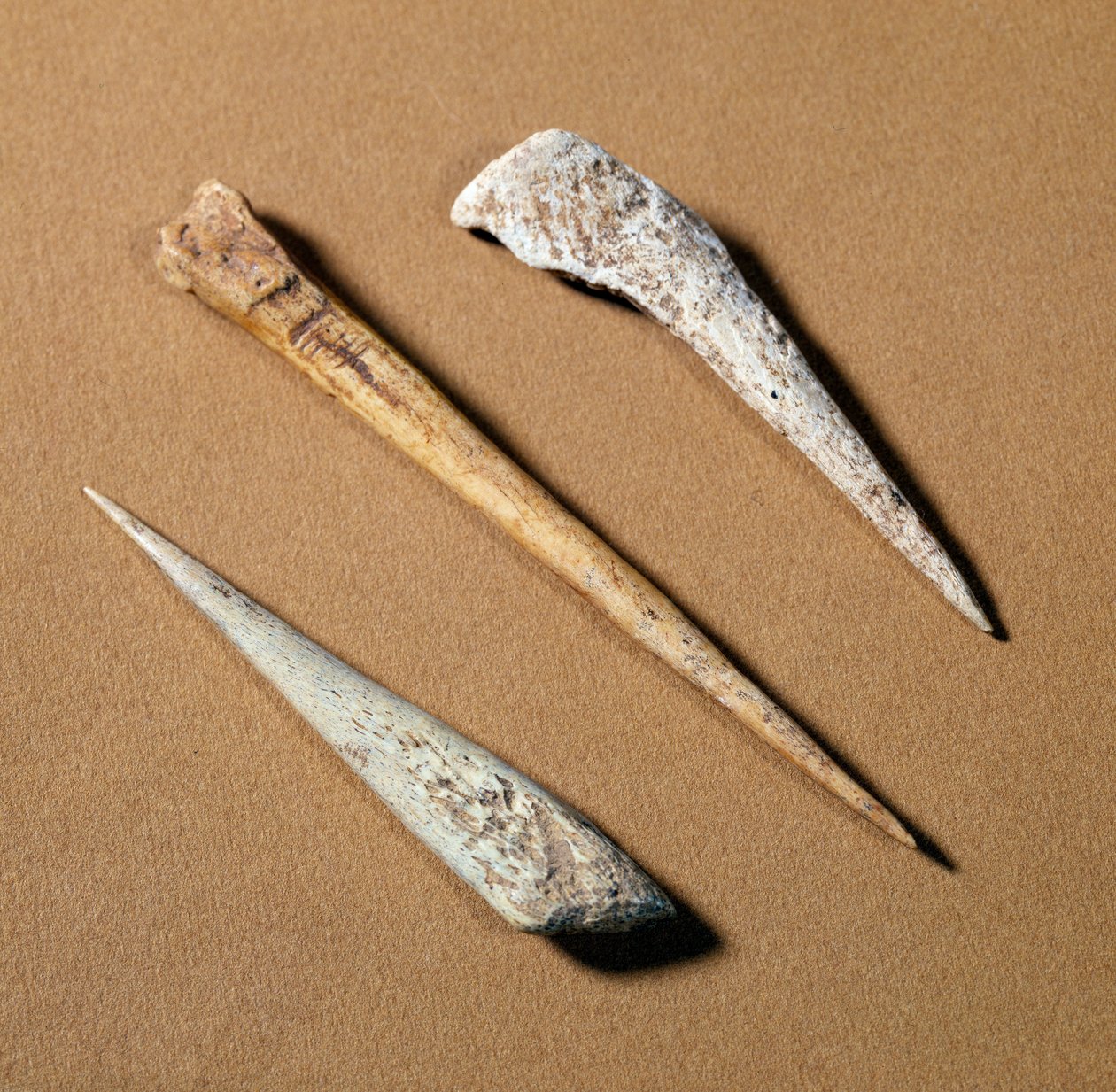 Esihistoria: luuahven, joka on peräisin paleoliittista. Saint-Germain-en-Laye, antiikkimuseo tekijältä Prehistoric Prehistoric