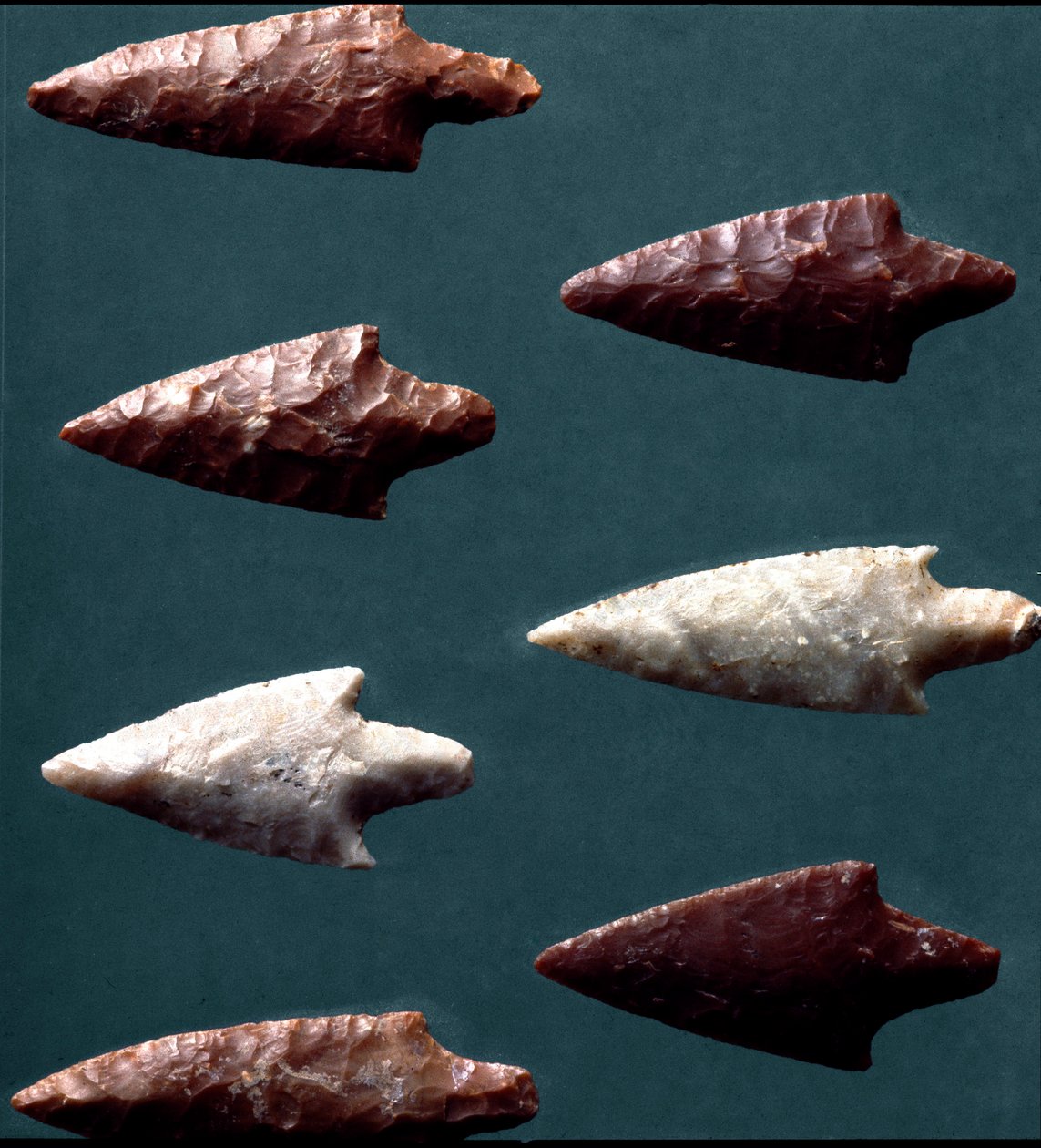 Rinaldonen (Montefiascone) esihistoria, kulttuuri: nuolet Rinaldonen hautausmaalta. Kuparin aikakausi. Eneoliittista. 2200 eaa. Rooma, Luigi Pigorinin kansallinen esihistoriallisen etnografian museo tekijältä Prehistoric Prehistoric