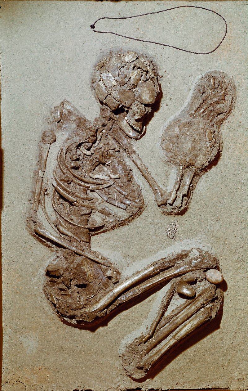 Esihistoria: naisen luuranko ylemmästä neoliittista. Chiozzan kulttuuri. 2900-2700 eaa. Reggio Emilia, kansalaismuseot, Chierici-museo, Italia tekijältä Prehistoric Prehistoric