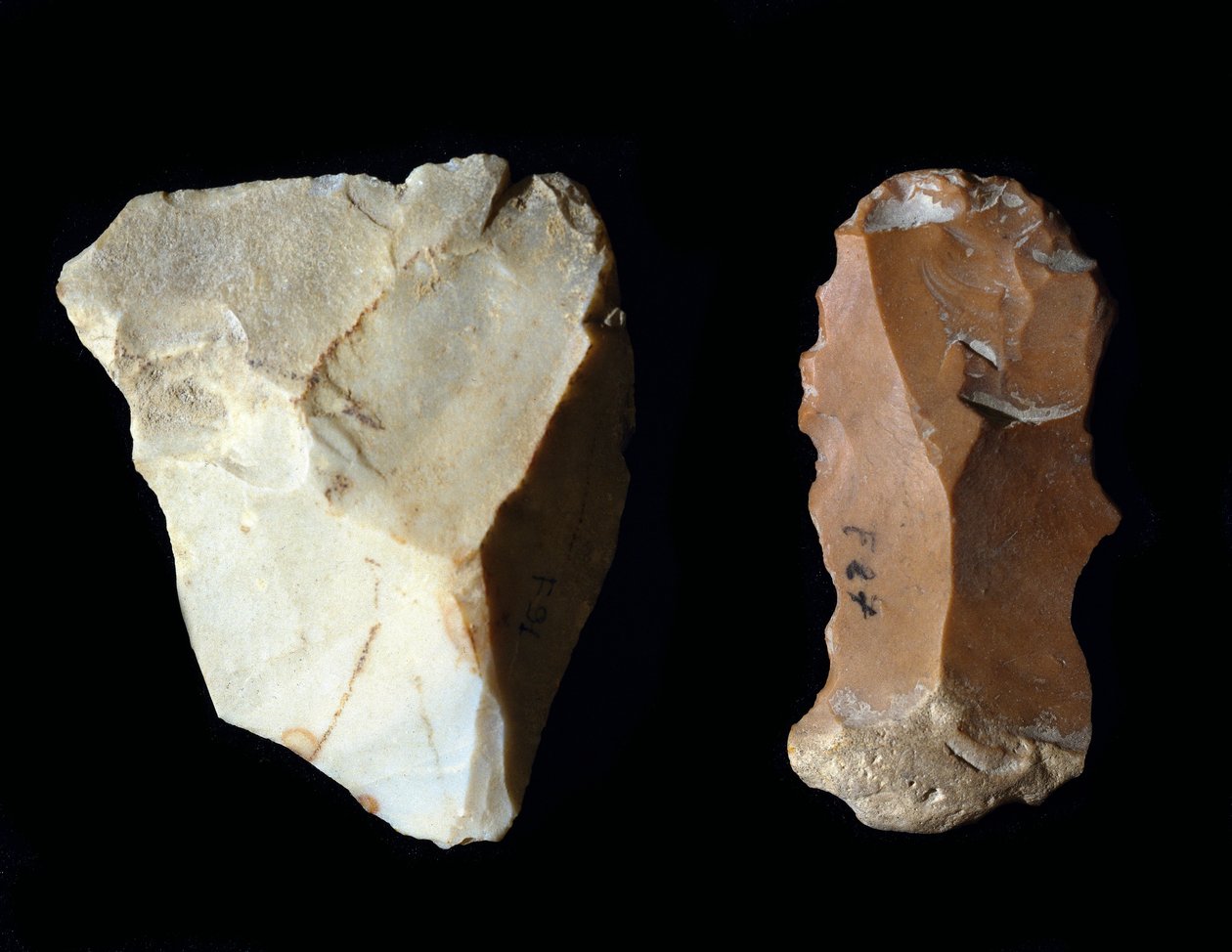 Esihistoria: piikivityökalut. Neoliitti, kivikausi. Fermon arkeologinen museo, Italia tekijältä Prehistoric Prehistoric