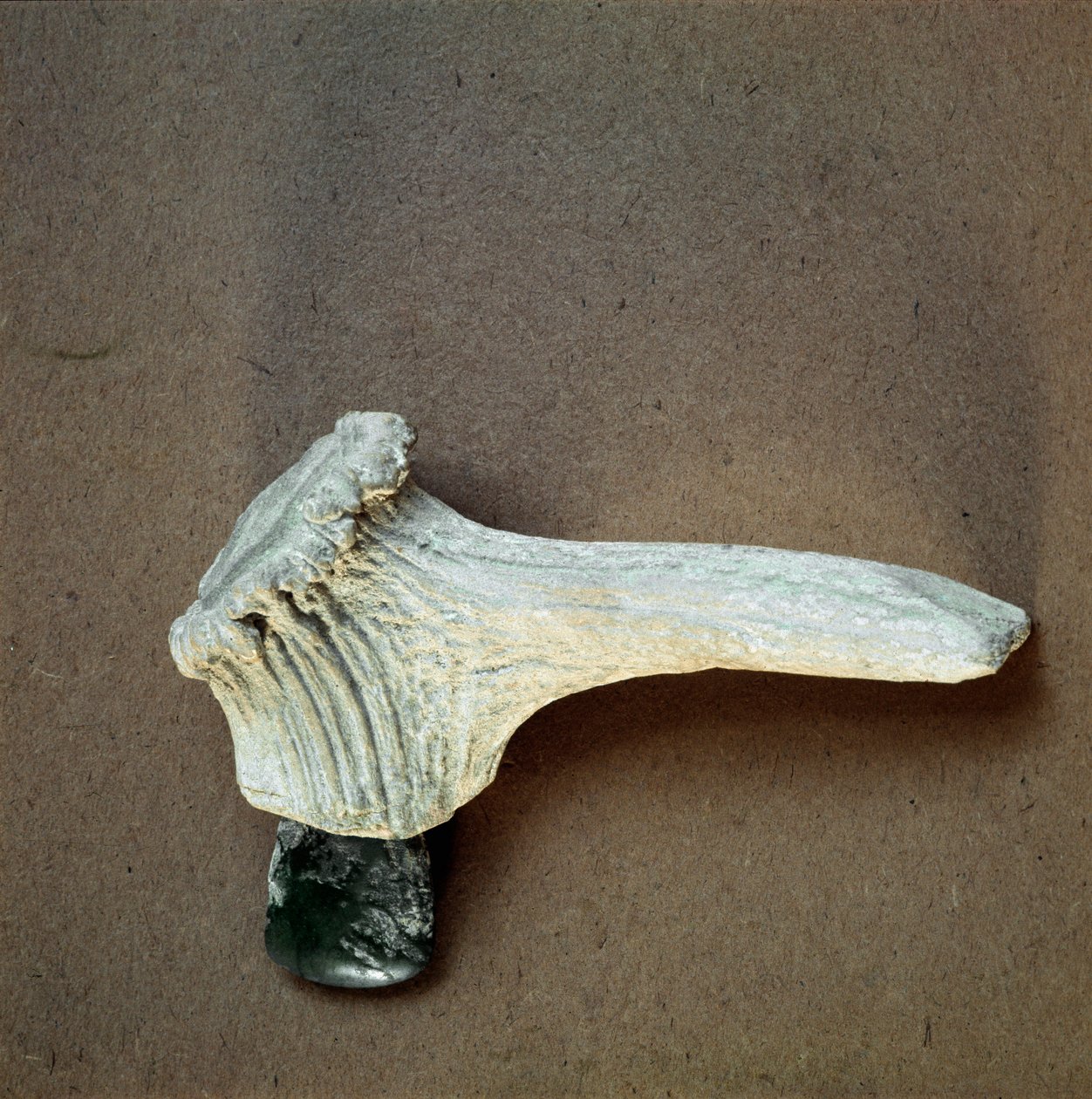 Esihistoria: Vihreä kivikirves hirven sarven kahvalla Polleran luolasta (Finale Ligure), Liguria. Keski-neoliitti, kivikausi. Geenit, museo di archeologia ligure tekijältä Prehistoric Prehistoric