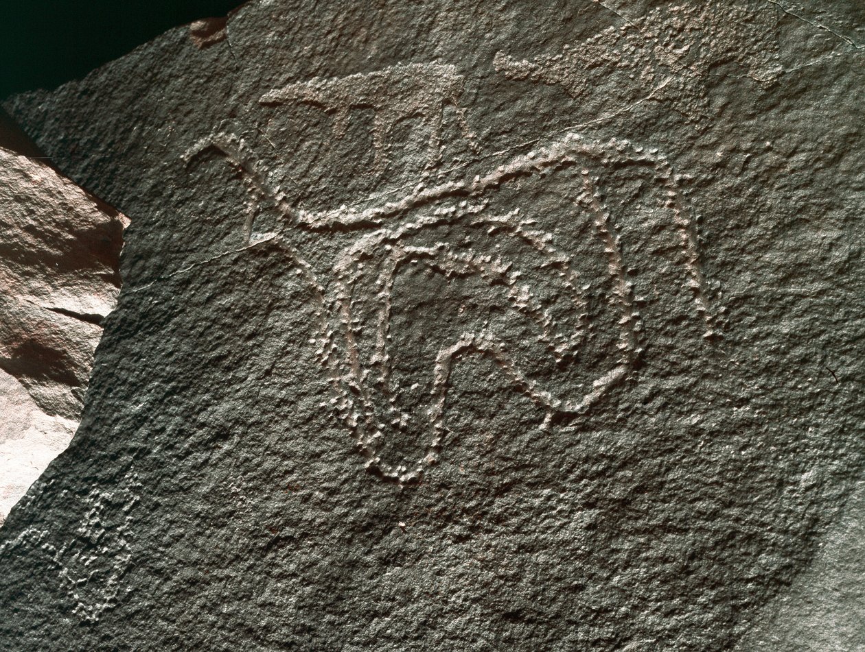 Esihistoria, kalliotaide: vakava kallio karjan esityksestä. Tazina tyyli. Kivikausi 5000-2000 eaa. Taghit, Haut plateau du Hoggar (Ahaggar), Algeria tekijältä Prehistoric Prehistoric