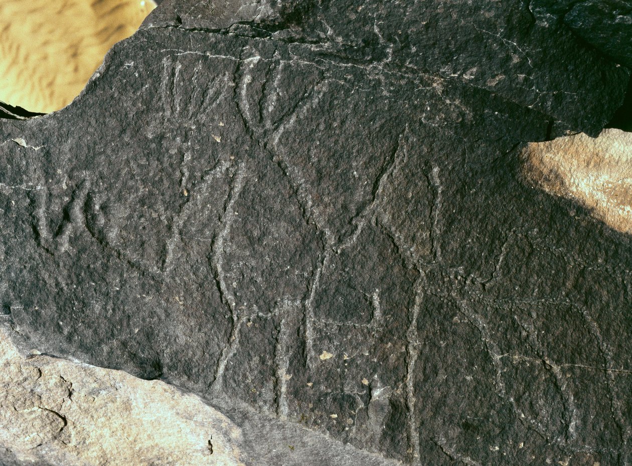 Esihistoria, rock art: vakava rock. Kivikausi 5000-2000 eaa. Taghit, Hoggar Highland (Ahaggar), Algeria tekijältä Prehistoric Prehistoric