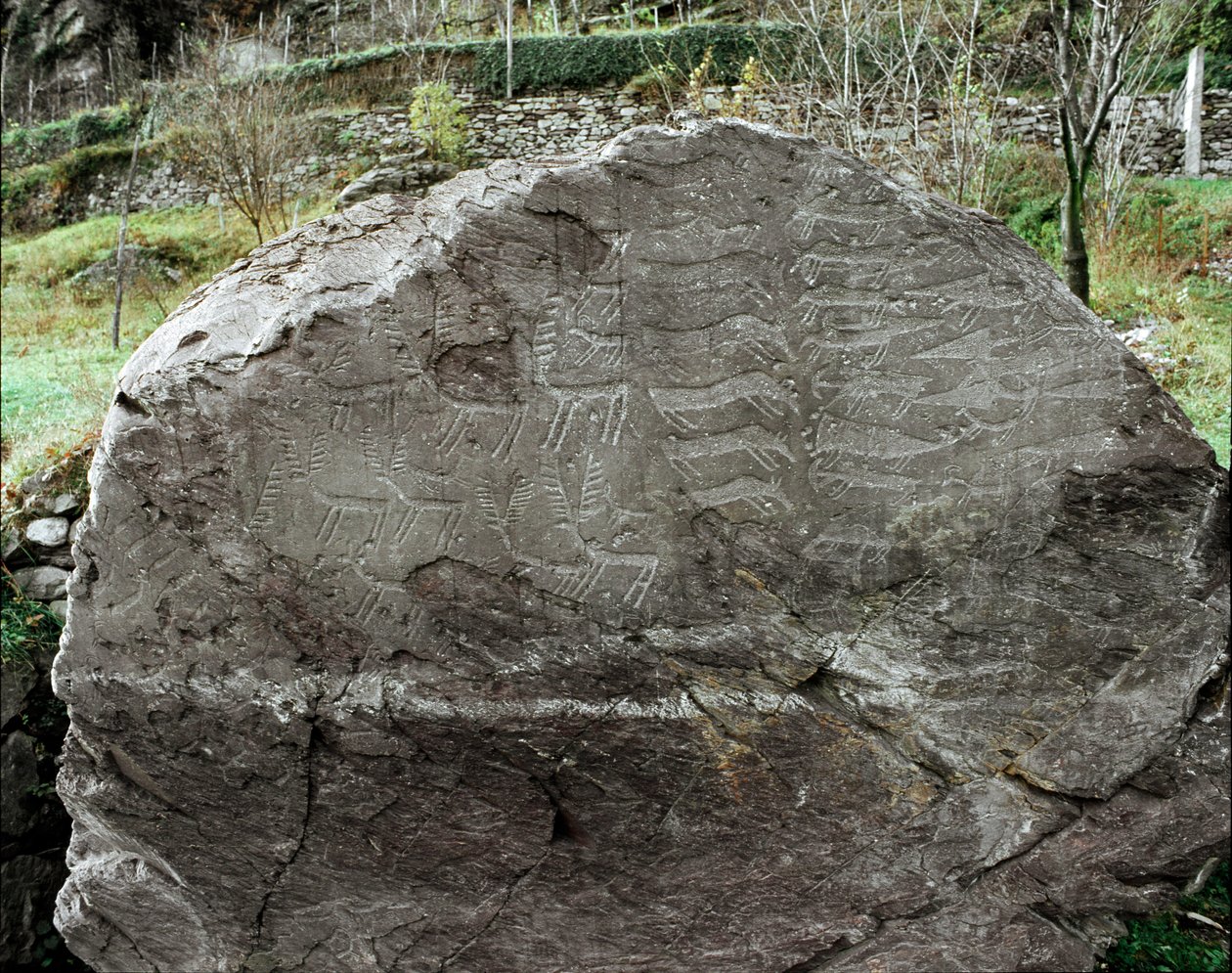 Esihistoriaa, kalliotaidetta: hautakallio peura, karja ja tikarit. Kuparin aikakausi. Eneoliittikausi (kalkoliitti). Roche no. 1. Cemmo (Brescia) Cemmon lohkareiden kansallinen arkeologinen puisto, Italia tekijältä Prehistoric Prehistoric
