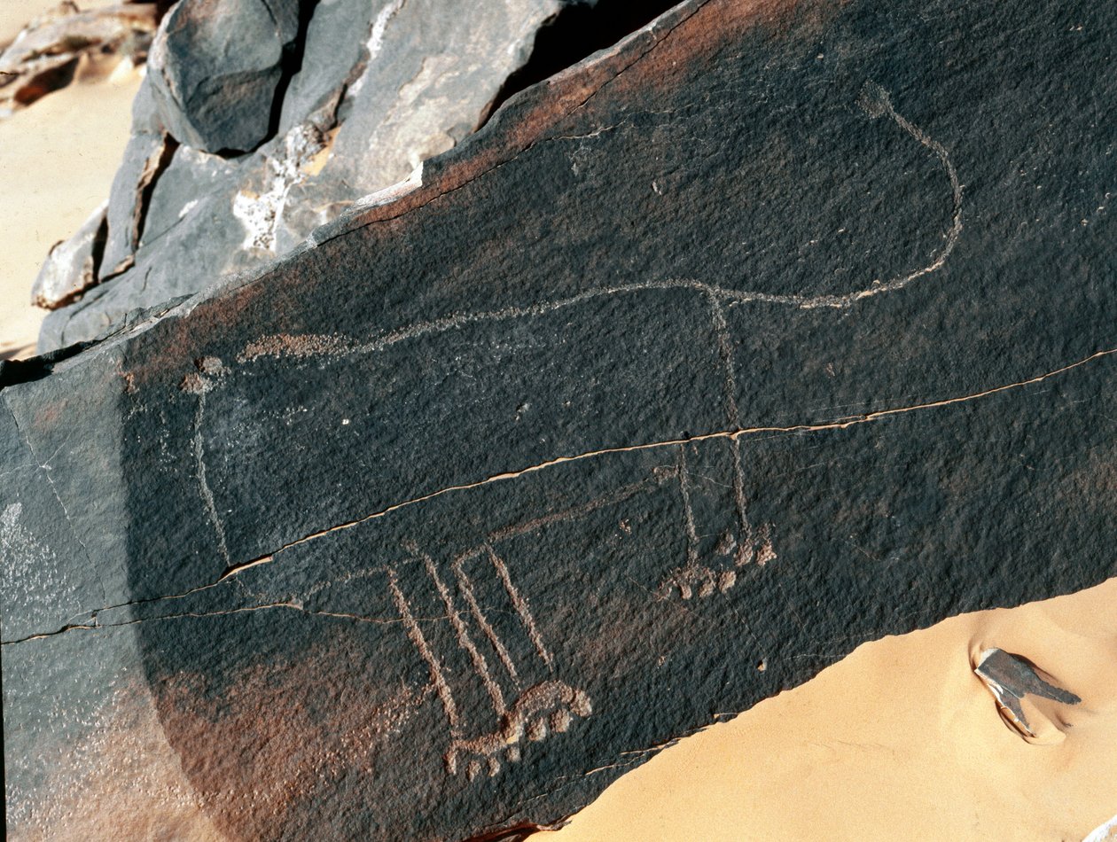 Esihistoria, kalliotaide: leijonan hautakallio. Tazina tyyli. Kivikausi 5000-2000 eaa. Taghit, Haut plateau du Hoggar (Ahaggar), Algeria tekijältä Prehistoric Prehistoric