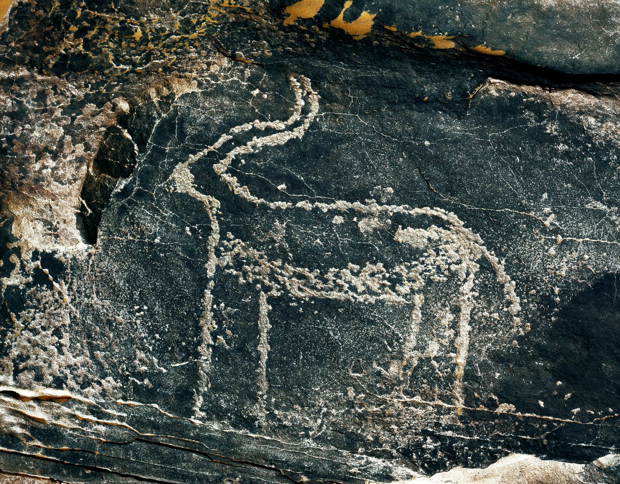 Esihistoria, kalliotaide: antiloopin hautakallio. Kivikausi 5000-2000 eaa. Taghit, Haut plateau du Hoggar (Ahaggar), Algeria tekijältä Prehistoric Prehistoric