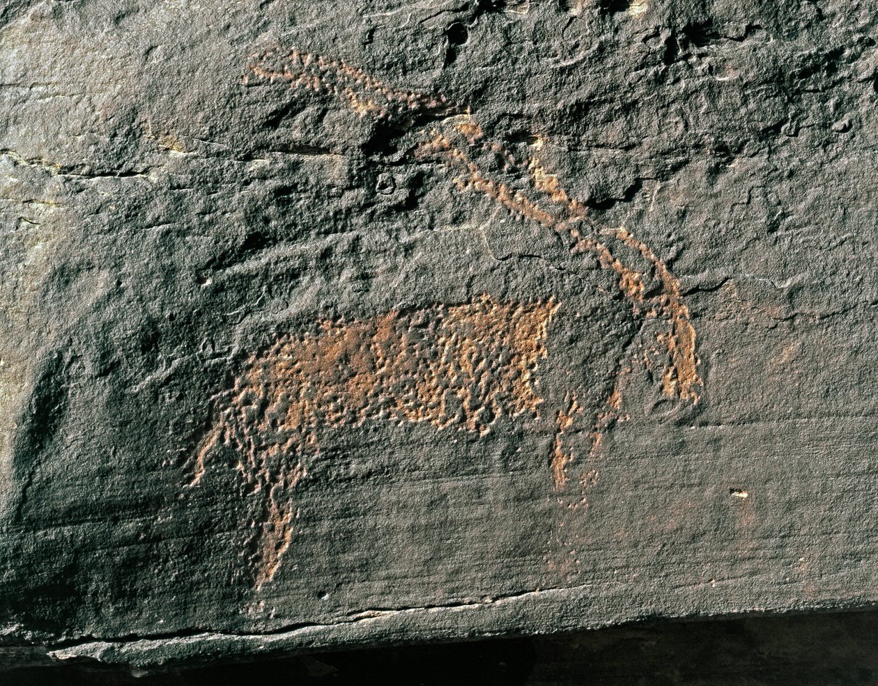 Esihistoria, kalliotaide: antiloopin hautakallio. Kivikausi 5000-2000 eaa. Taghit, Haut plateau du Hoggar (Ahaggar), Algeria tekijältä Prehistoric Prehistoric