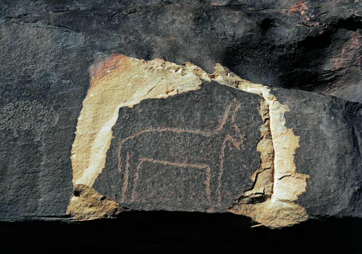 Esihistoria, kalliotaide: antiloopin hautakallio. Kivikausi 5000-2000 eaa. Taghit, Haut plateau du Hoggar (Ahaggar), Algeria tekijältä Prehistoric Prehistoric