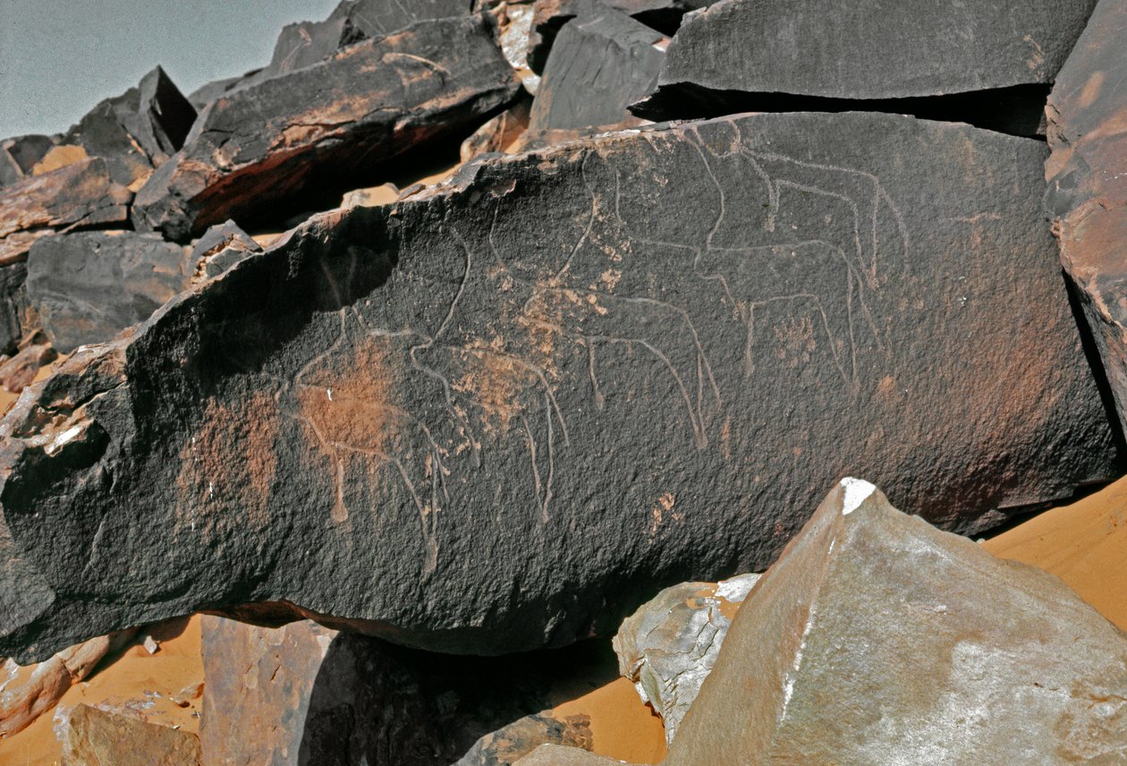 Esihistoria, kalliotaide: karjan esityksen hautakivi. Tazina tyyli. Kivikausi 5000-2000 eaa. Taghit, Haut plateau du Hoggar (Ahaggar), Algeria tekijältä Prehistoric Prehistoric