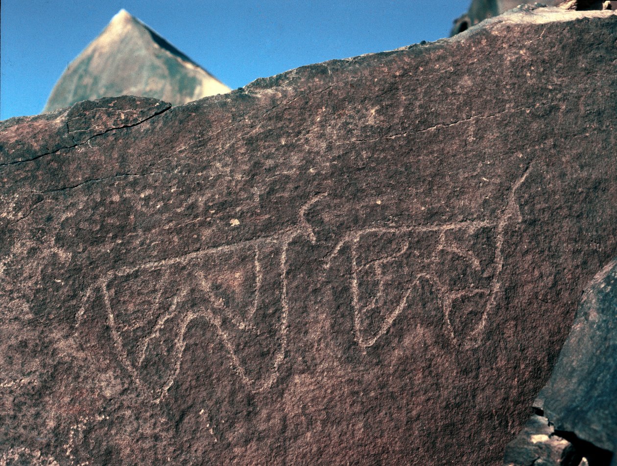 Esihistoria, kalliotaide: karjan esityksen hautakivi. Tazina tyyli. Kivikausi 5000-2000 eaa. Taghit, Haut plateau du Hoggar (Ahaggar), Algeria tekijältä Prehistoric Prehistoric