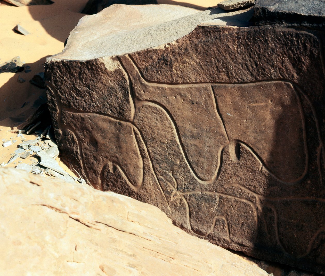 Esihistoria, kalliotaide: karjan esityksen hautakivi. Tazina tyyli. Kivikausi 5000-2000 eaa. Taghit, Haut plateau du Hoggar (Ahaggar), Algeria tekijältä Prehistoric Prehistoric