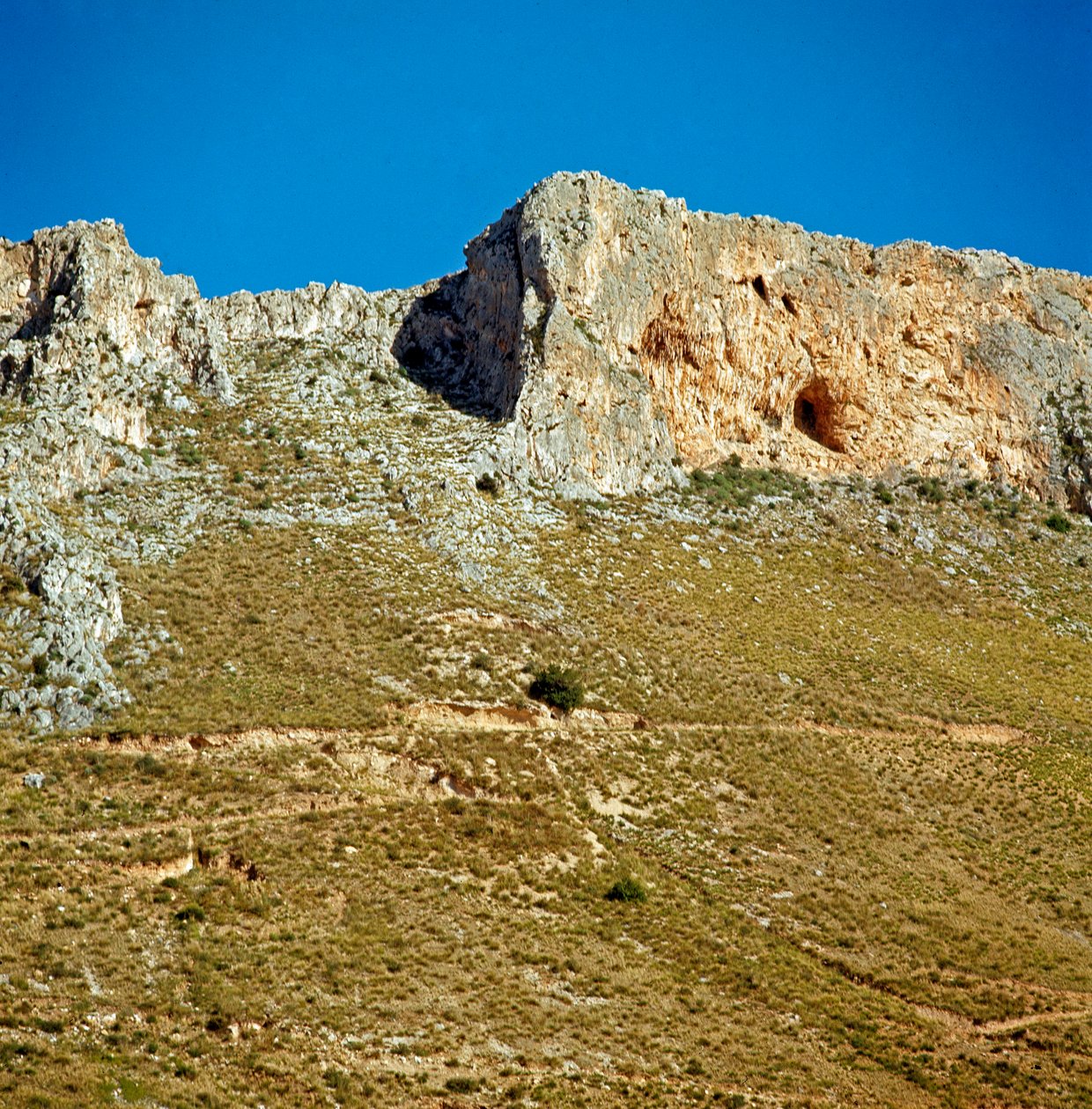 Esihistoria: Monte Palmeton kreeta, jonka luola on peräisin paleoliittikaudelta. Monte Palmeto, Palermo (Palermo), Italia tekijältä Prehistoric Prehistoric