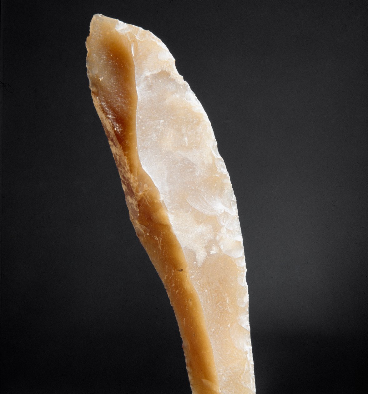 Esihistoria: piikin kärki Arene Candiden (Finale Liguria) nekropolista, Liguriasta. Yläpaleoliitti, kivikausi. Geenit, Ligurian arkeologinen museo tekijältä Prehistoric Prehistoric
