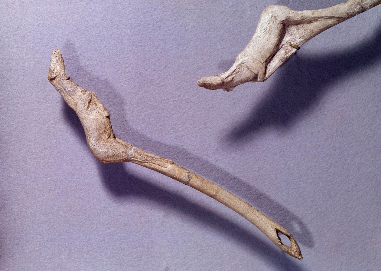 Esihistoria: kaksi potkuria sanoi "" hyppäävälle hevoselle"" tehty poropuusta. Keski-Magdalenian aika. Saint Germain en Laye, kansallisen arkeologian museo tekijältä Prehistoric Prehistoric