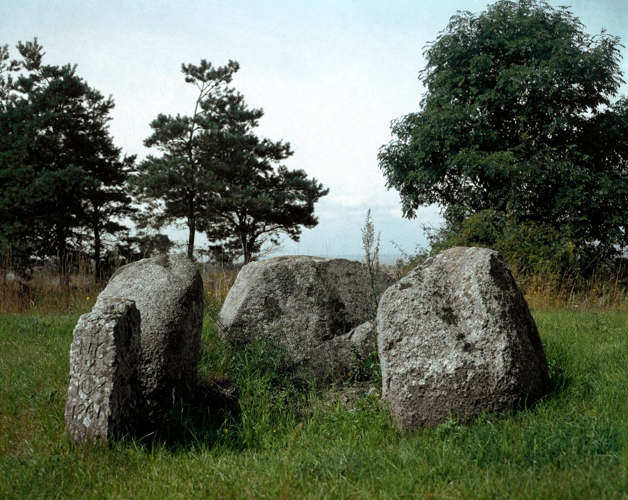 Esihistoria: näkymä Chiancan dolmenille ja sen sisäänkäyntikäytävälle. Kivikausi, neoliitti. 6-3 vuosisadalla eKr. Bisceglie, Puglia, Italia tekijältä Prehistoric Prehistoric