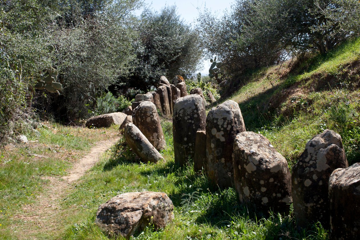 Cromlech M Zoran arkeologinen kohde Sidi El Yamanissa (Marokko). Neoliittinen hautakumpu (2000 eKr.), jota ympäröi 167 monoliittia. tekijältä Prehistoric Prehistoric