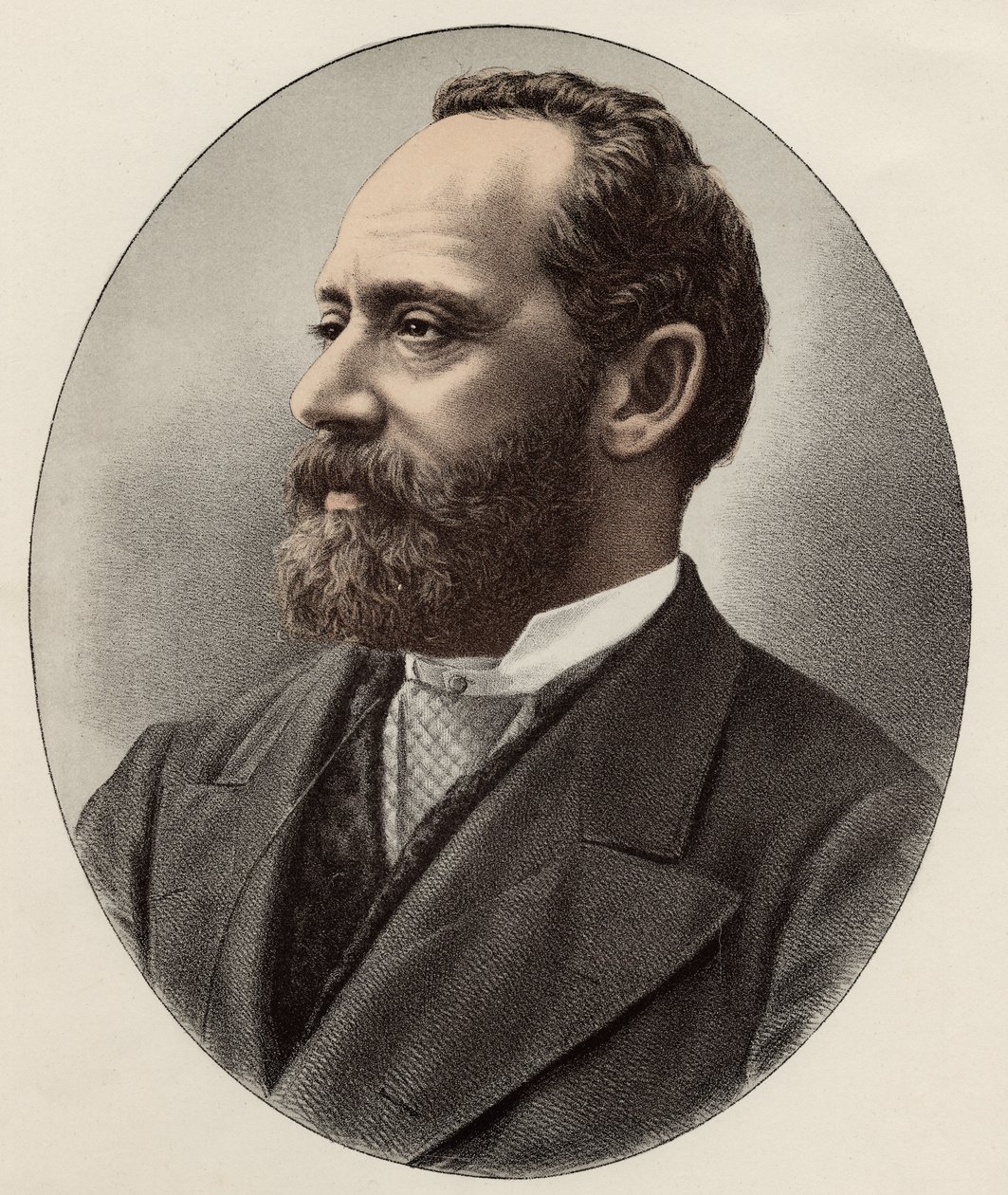 Professori Arminius (print) tekijältä Professor K. Koller