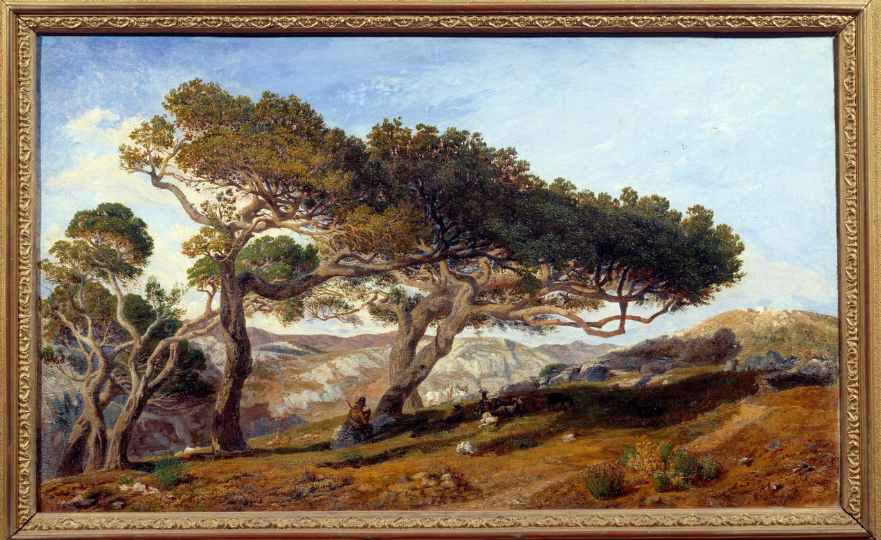 Männyt Aix en provencen maaseudulla Maquisin maisema Etelä-Ranskassa. Prosper Joseph Gresyn (1804-1874) maalaus 1800-luvulta Aix en Provence, Musee Granet - Aix-en-Provencen maaseudulla mäntyjä. Maquisin maisema sisällä tekijältä Prosper Joseph Gresy