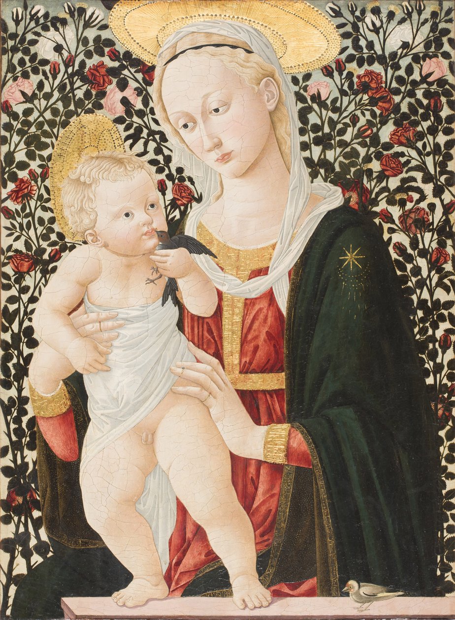 Ruusujen Madonna, n. 1485-1490 (tempera) tekijältä Pier Francesco Fiorentino