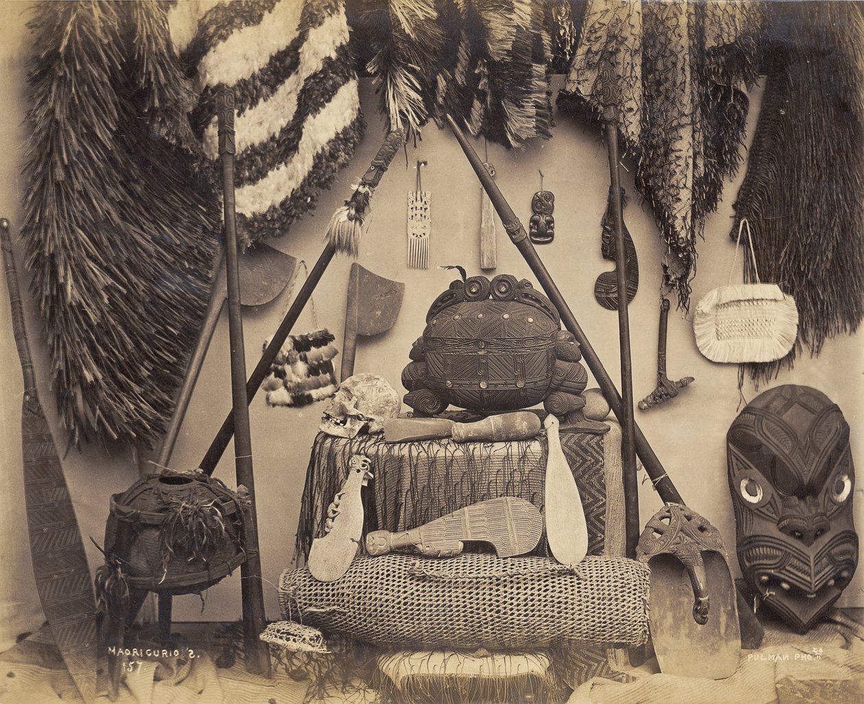 Maori Curios, 1870 (albumiprintti) tekijältä Pulman Studio