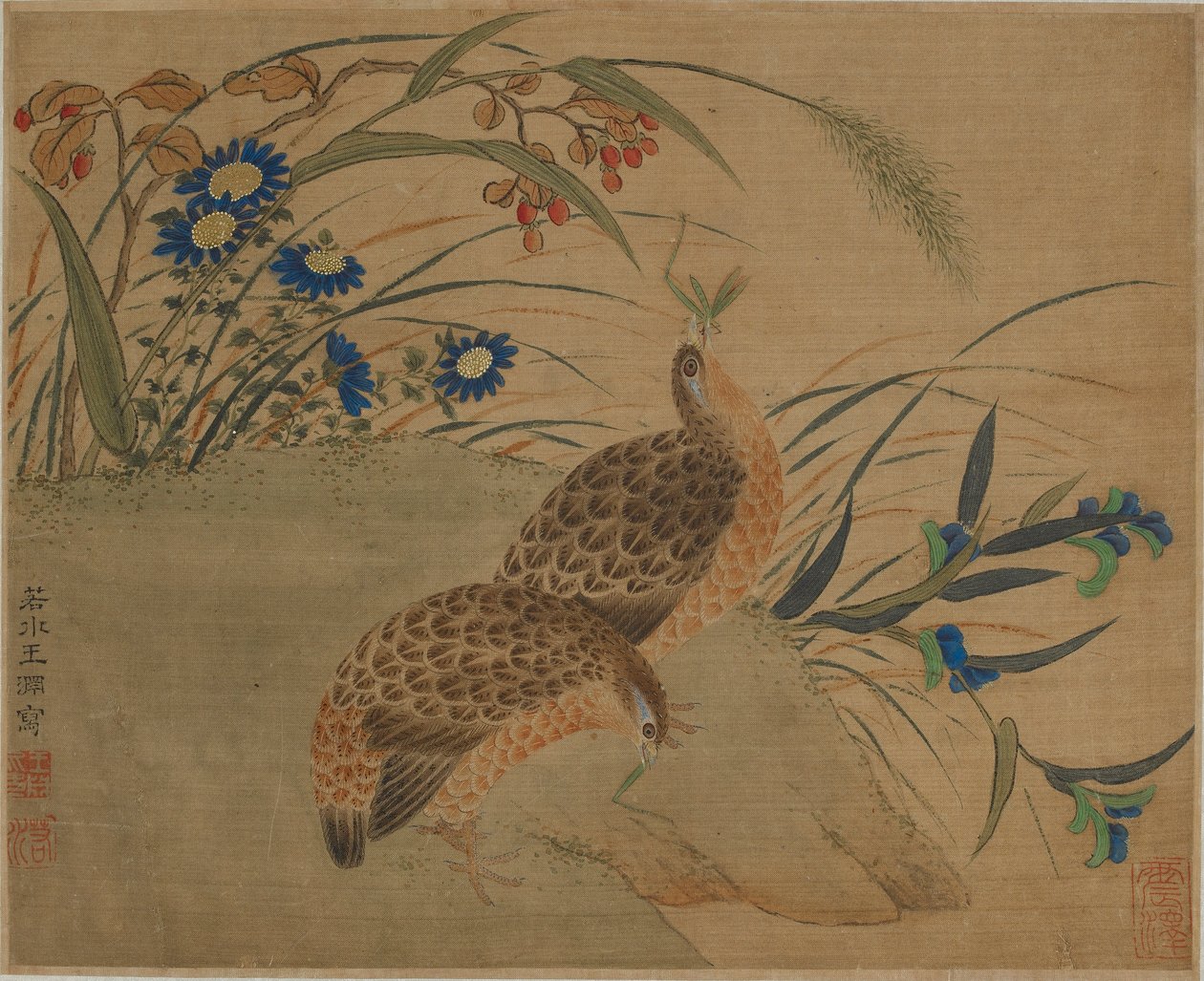 Kaksi viiriäistä syö heinäsirkkaa kukkien alla tekijältä Qing Dynasty Chinese School