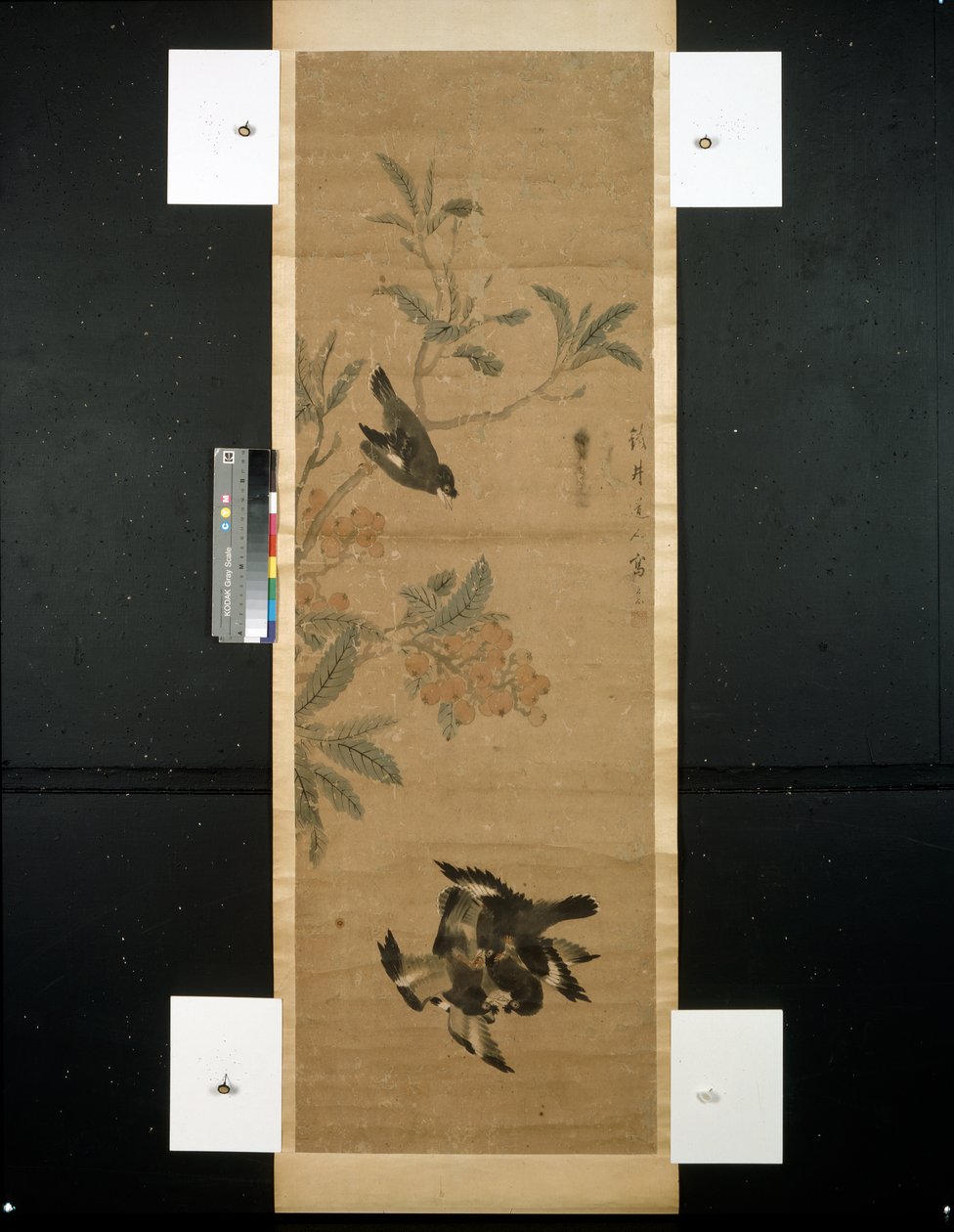 Linnut ja oksat tekijältä Qing Dynasty Chinese School