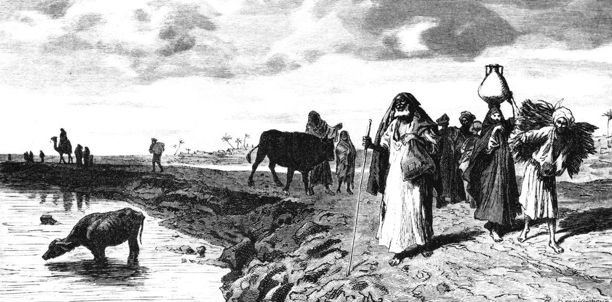 Chaussee suistossa tulvan aikaan vuonna 1880 tekijältä R. Brandamour