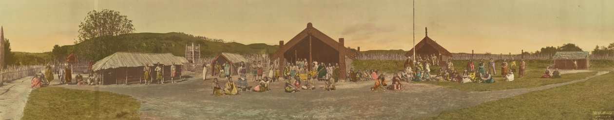 Maori Pa, Rotorua, Uusi-Seelanti tekijältä R. P. Moore