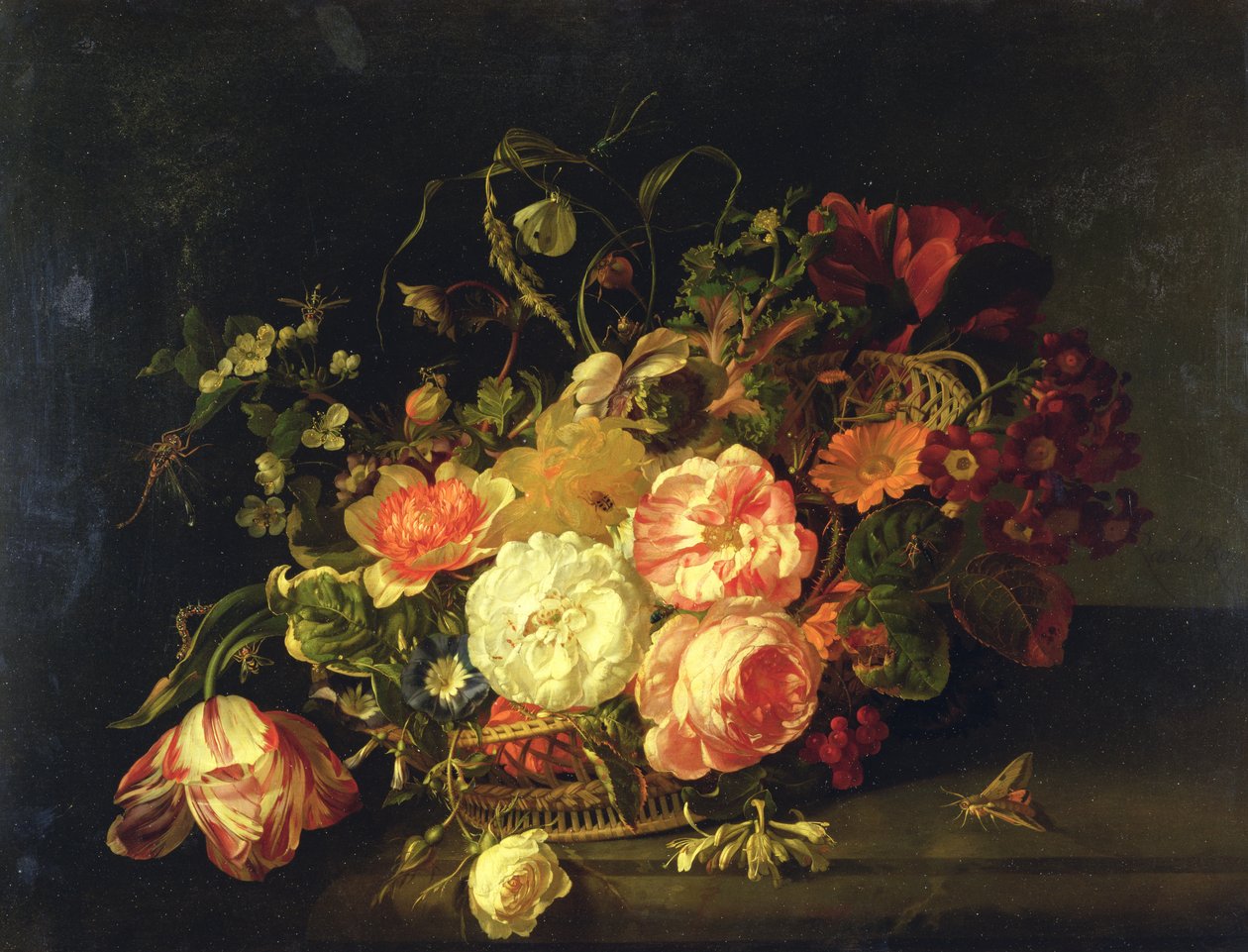 Kukat ja hyönteiset, 1711 tekijältä Rachel Ruysch