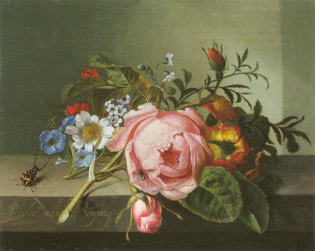 Rosenzweig mit Käfer und Biene tekijältä Rachel Ruysch