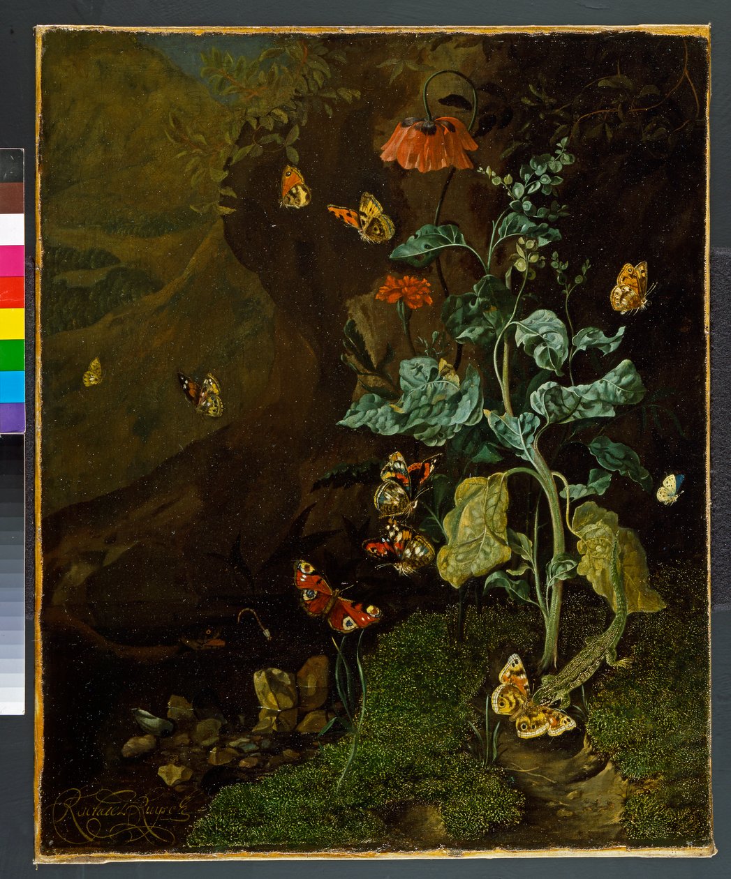Asetelma, jossa on kukkia, perhosia ja lisko dellissä, ennen vuotta 1750 tekijältä Rachel Ruysch