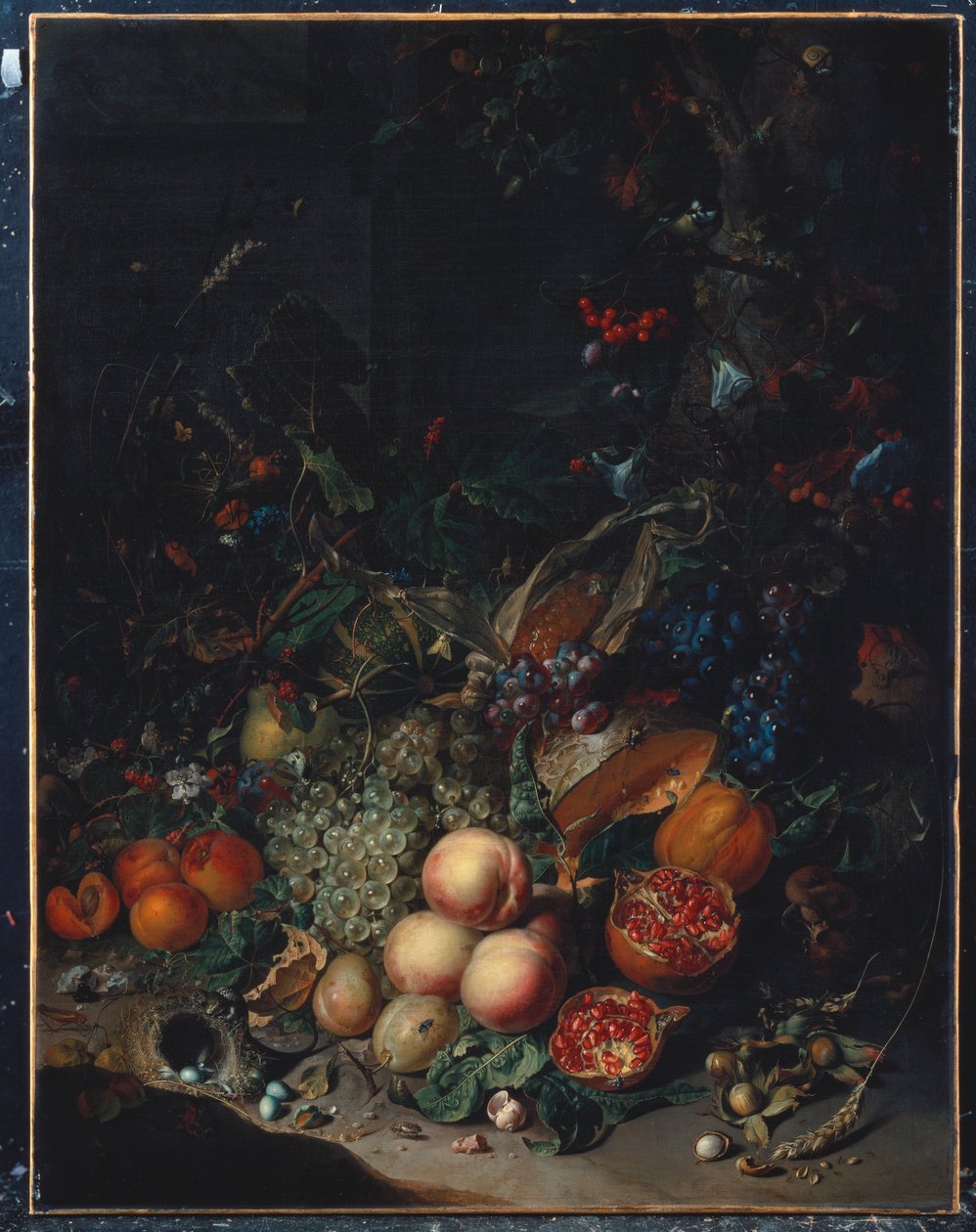 Persikat, viinirypäleet, granaattiomenat, melonit, maissintähkä, aprikoosit, luumut, päärynät, tammenterhot, 1718 tekijältä Rachel Ruysch