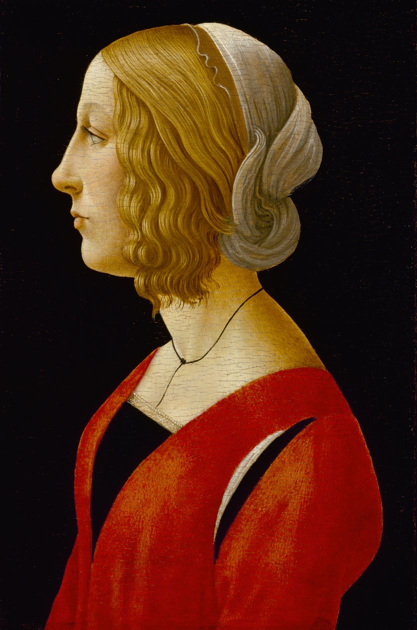 Nuoren naisen rintakuva, n. 1485-1490 (tempera taulussa) tekijältä Raffaellino del Garbo